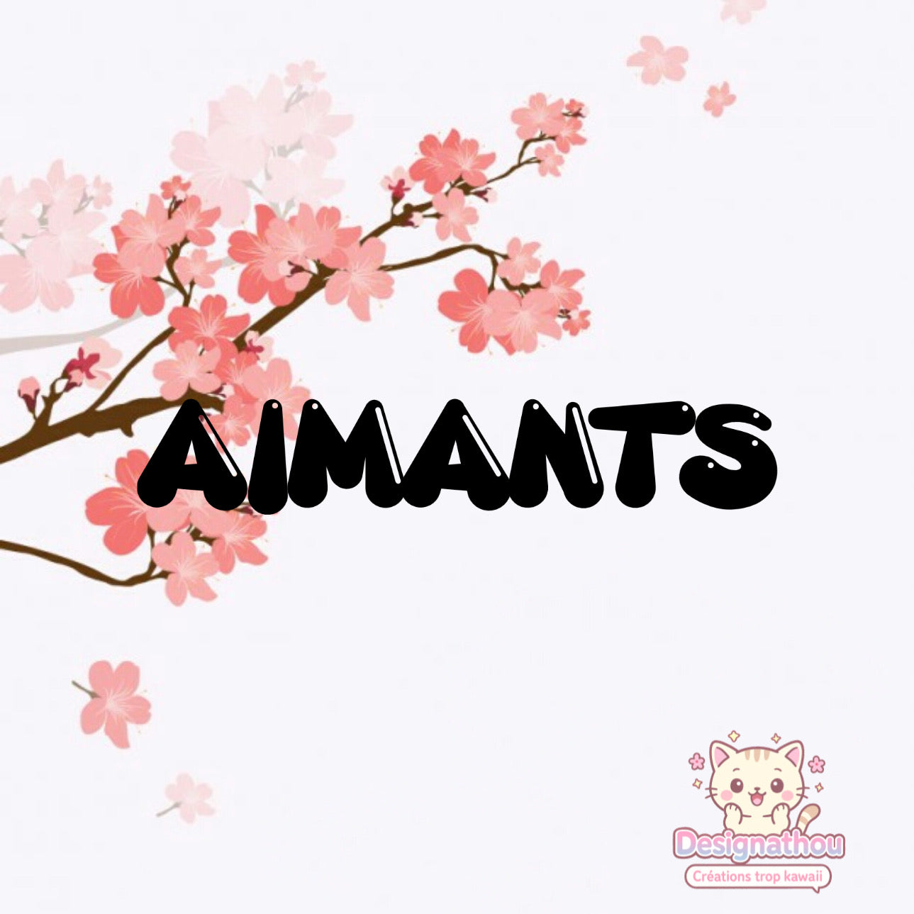 AIMANTS