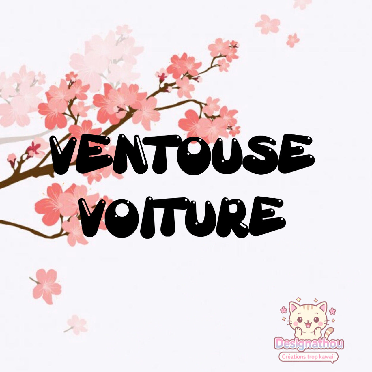 VENTOUSE VOITURE
